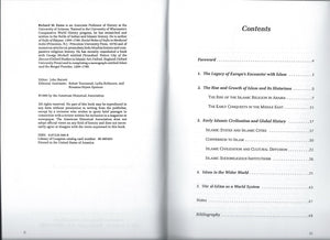 Islamic History As Global History (Essays on Global and Comparative History Series),Used