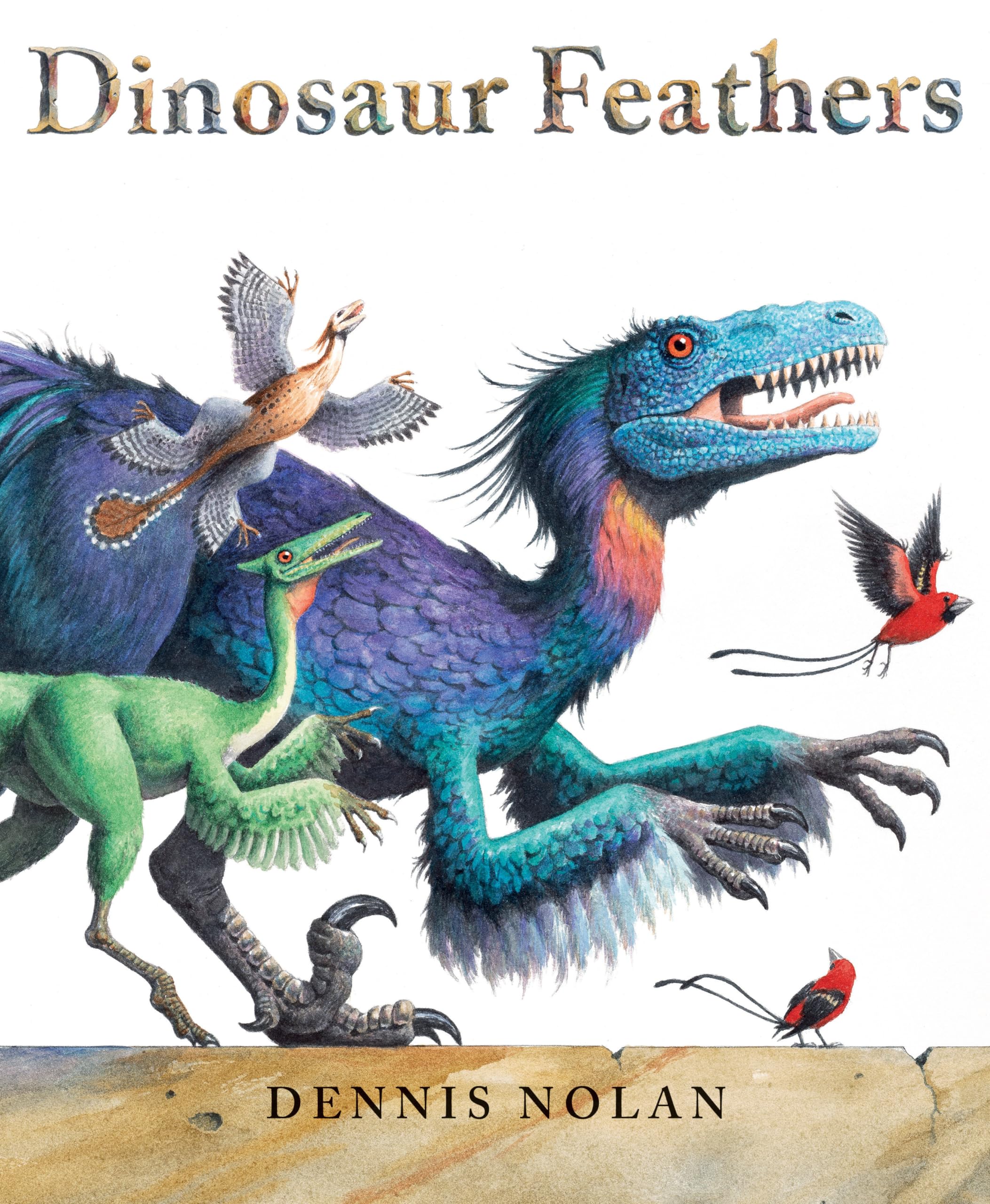 Dinosaur Feathers,Used