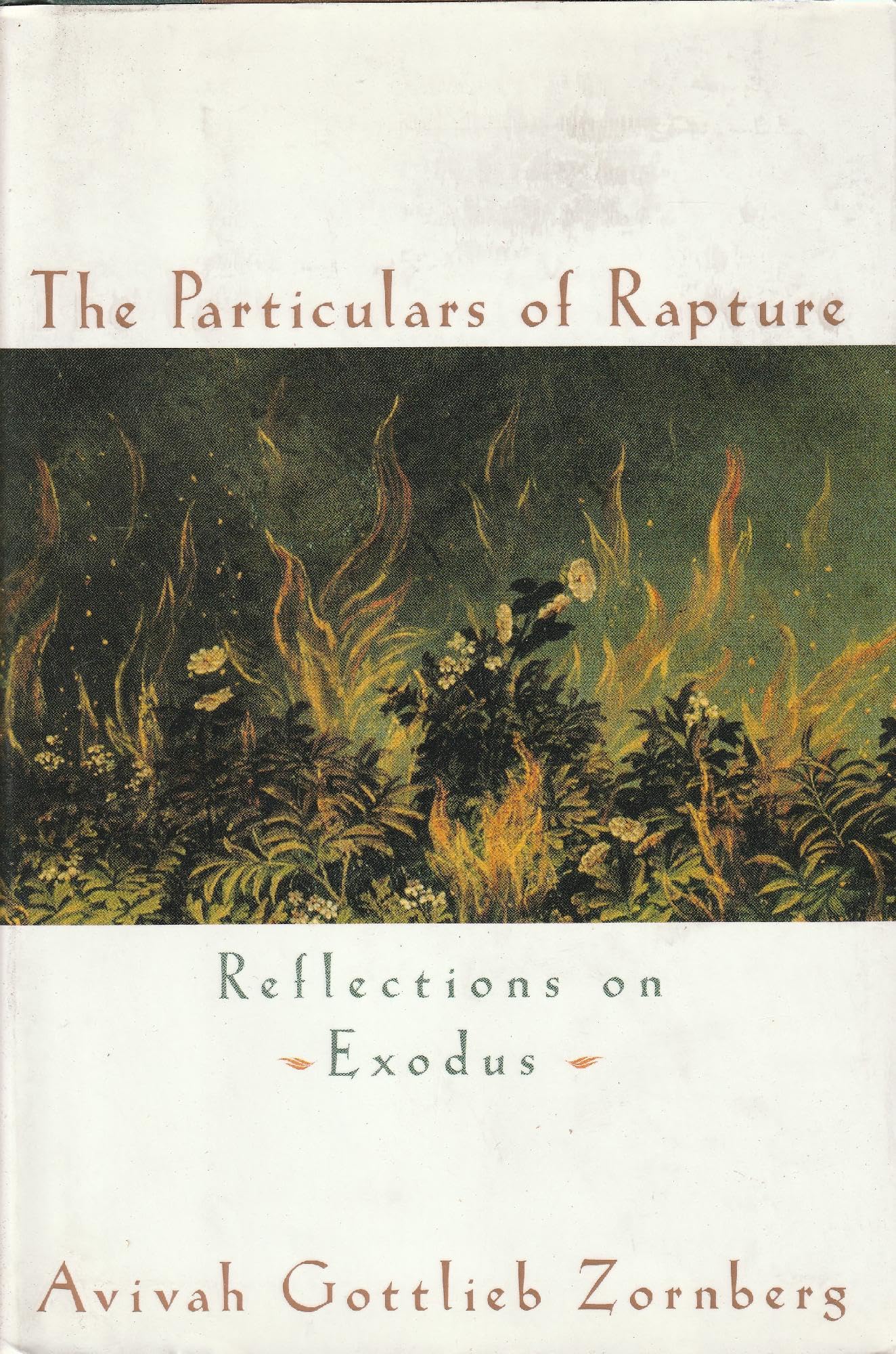 The Particulars of Rapture: Reflections on Exodus,Used