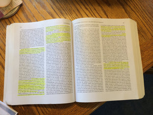 Ethics: History, Theory, And Contemporary Issues,Used