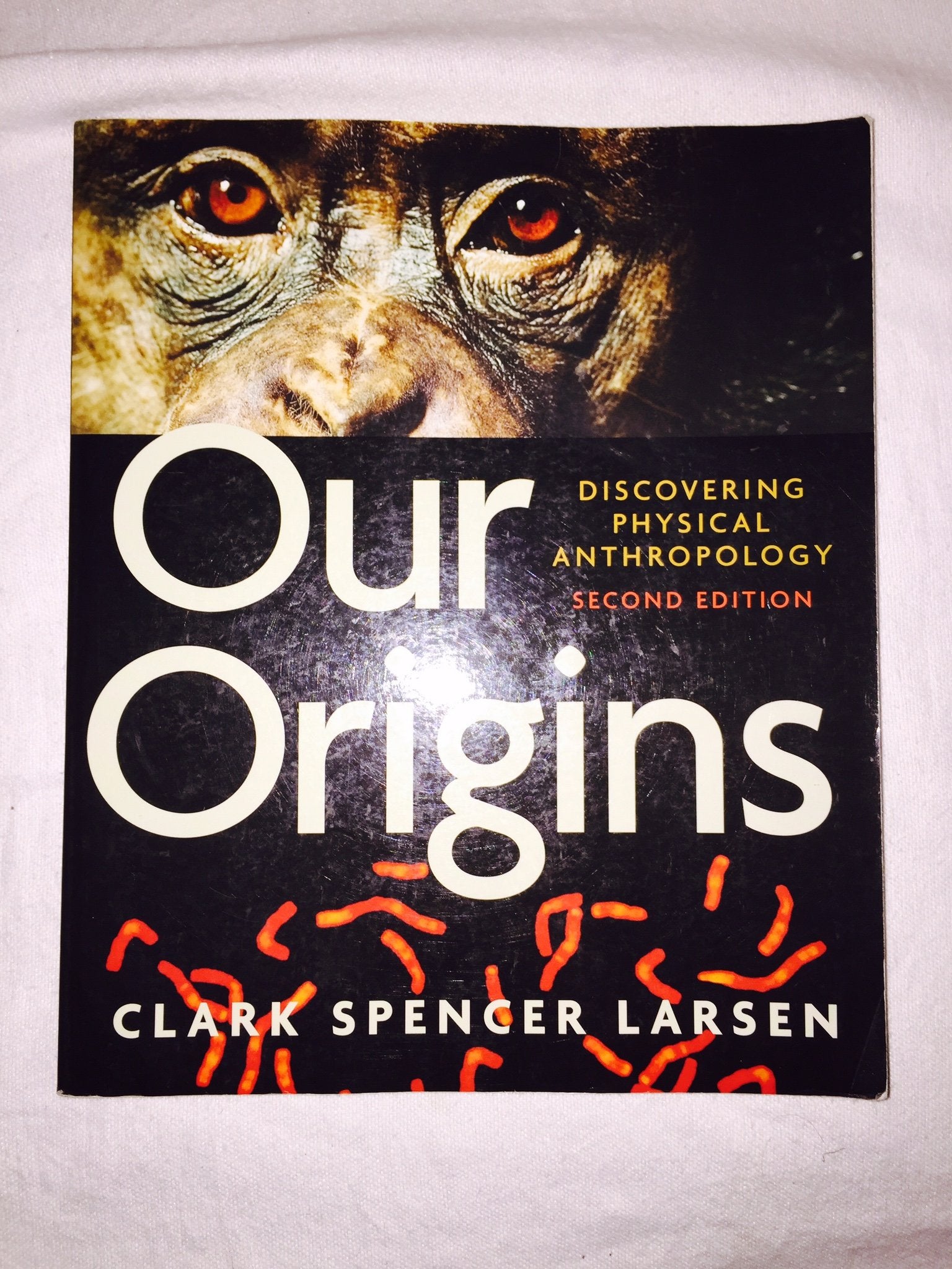 Our Origins: Discovering Physical Anthropology (Second Edition),Used