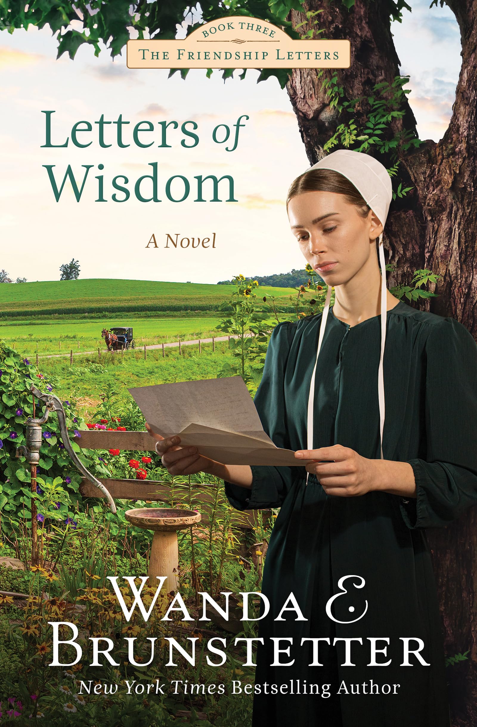 Letters Of Wisdom (Friendship Letters, 3),Used
