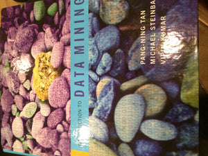 Introduction to Data Mining,New