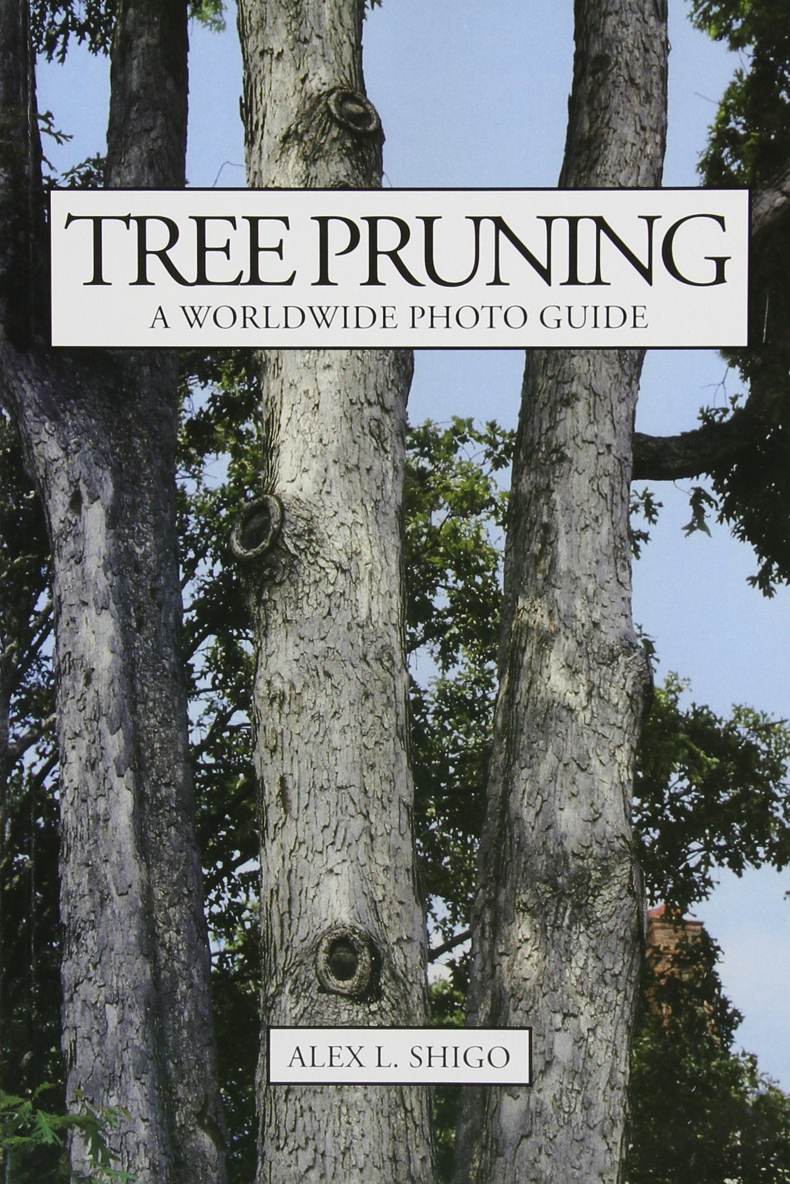 Tree Pruning: A Worldwide Photo Guide,New