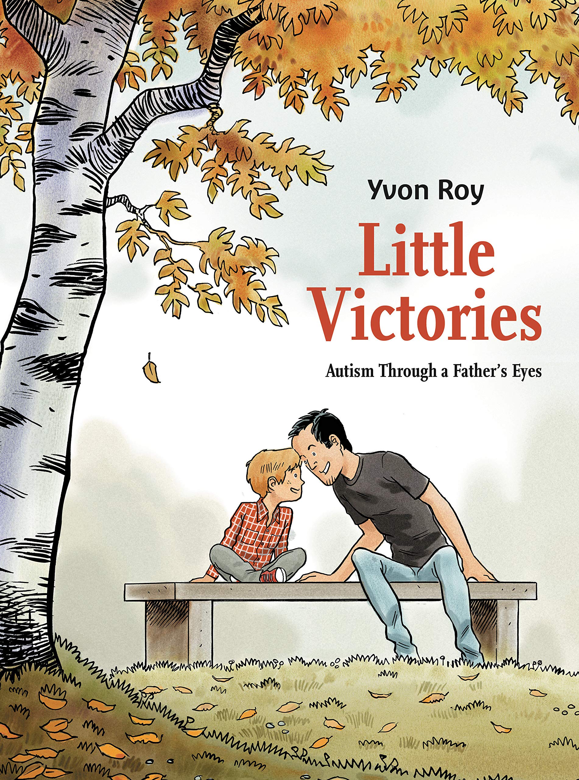 Little Victories: Autism Through a Father's Eyes (Graphic Novel),Used