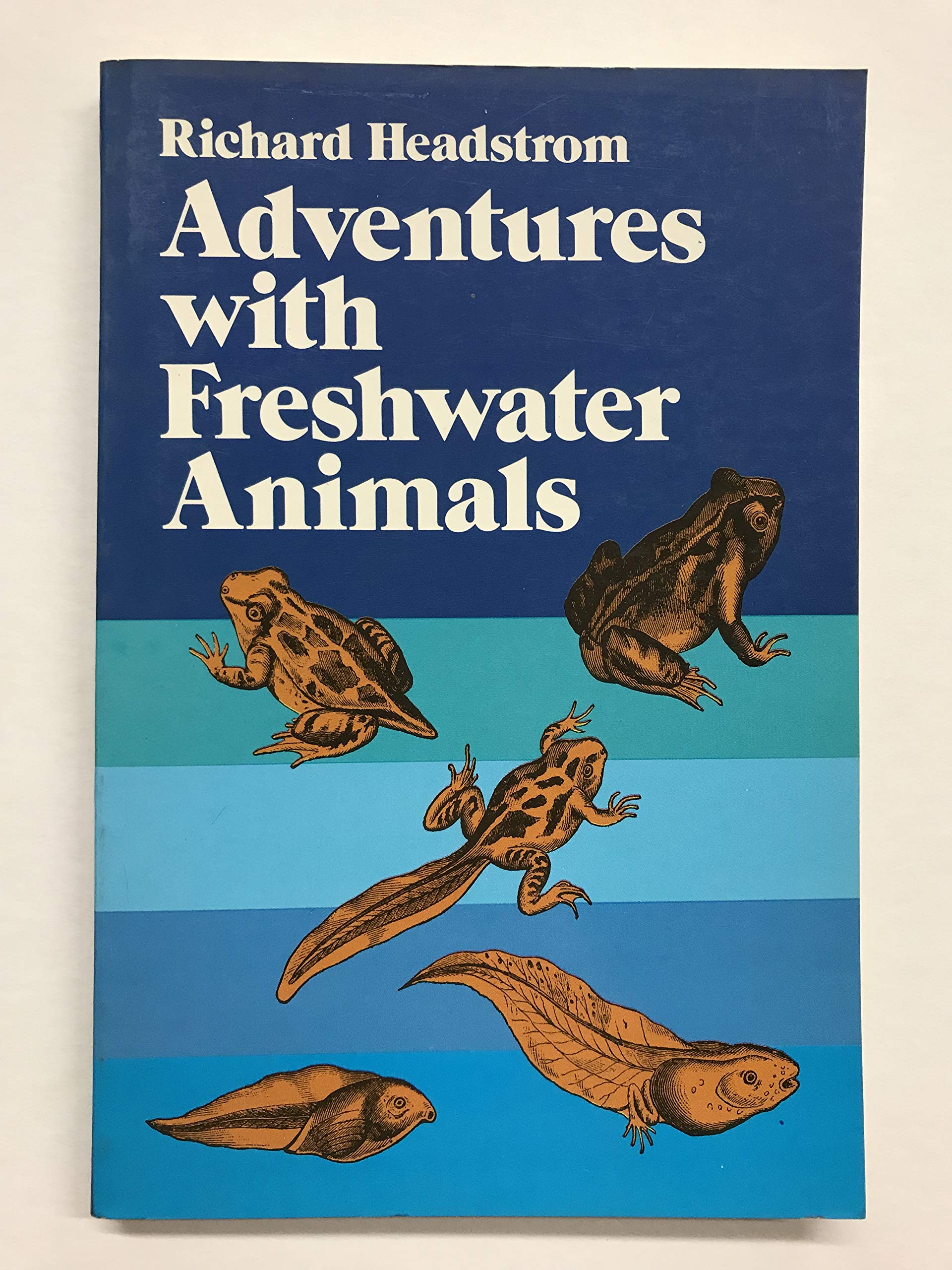 Adventures With Freshwater Animals,New