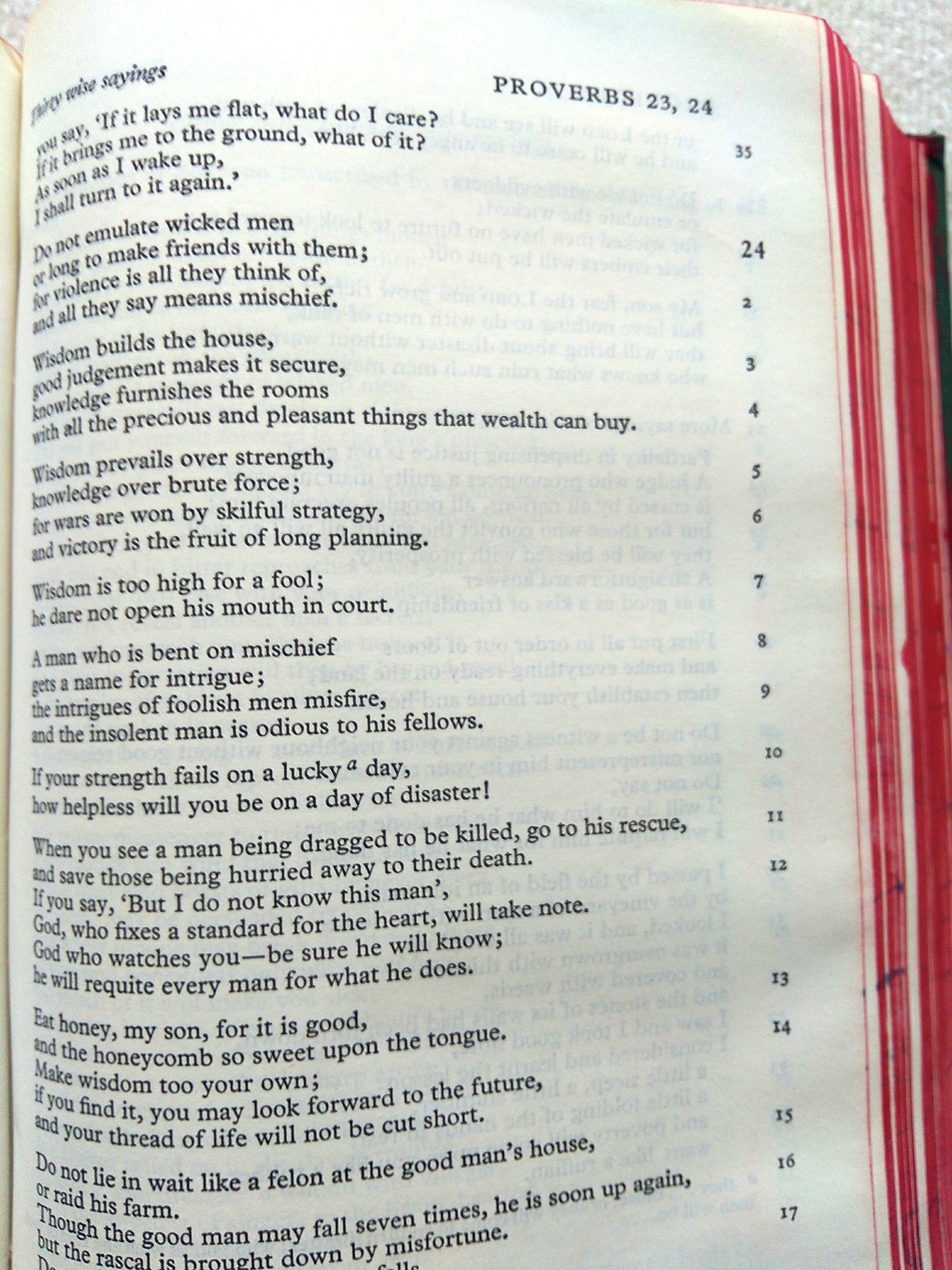 The New English Bible, the Apocrypha, Oxford University Press, 1970,Used