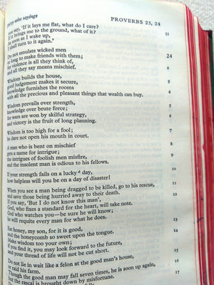 The New English Bible, the Apocrypha, Oxford University Press, 1970,Used