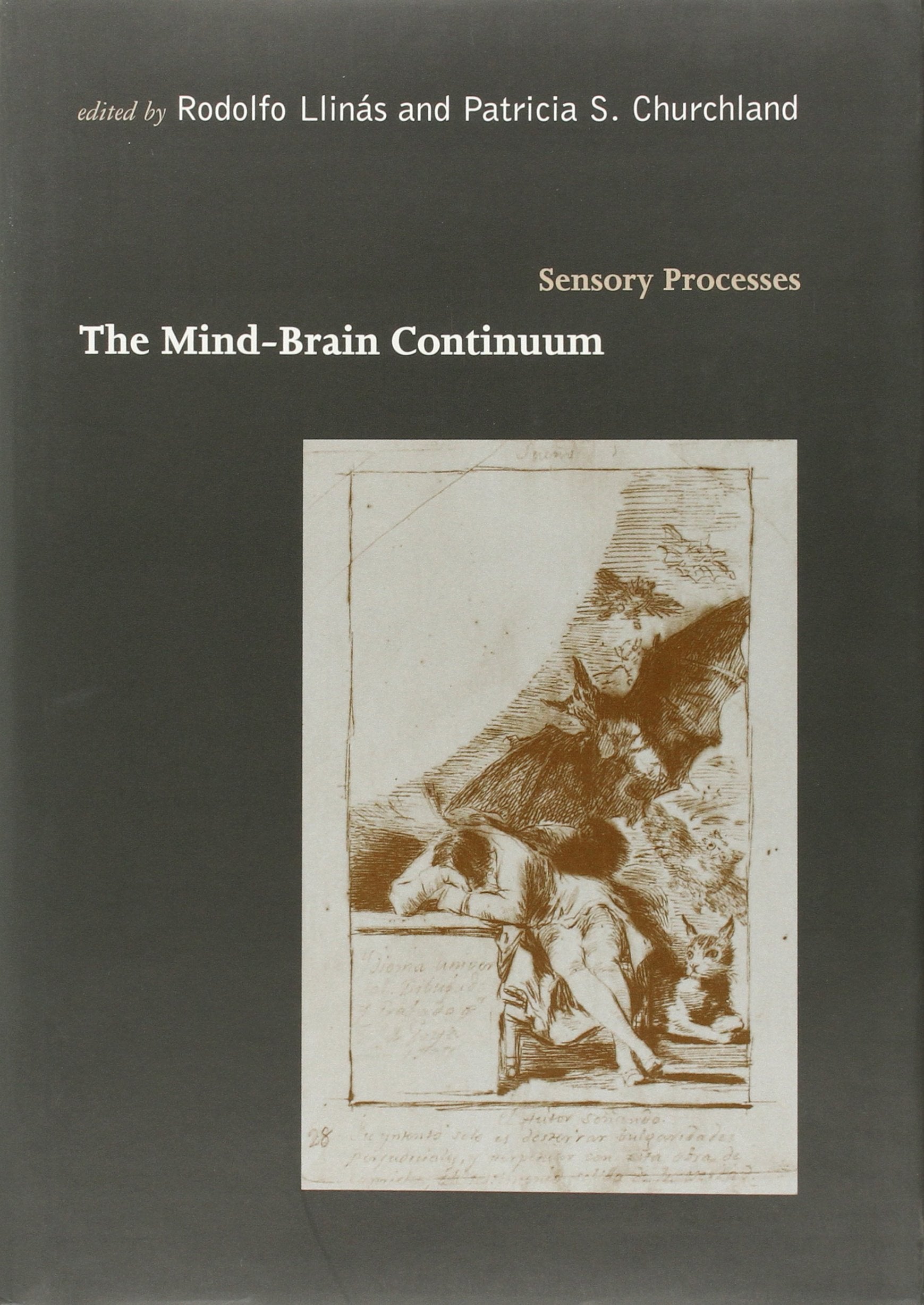 MindBrain Continuum: Sensory Processes