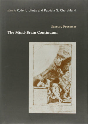 MindBrain Continuum: Sensory Processes