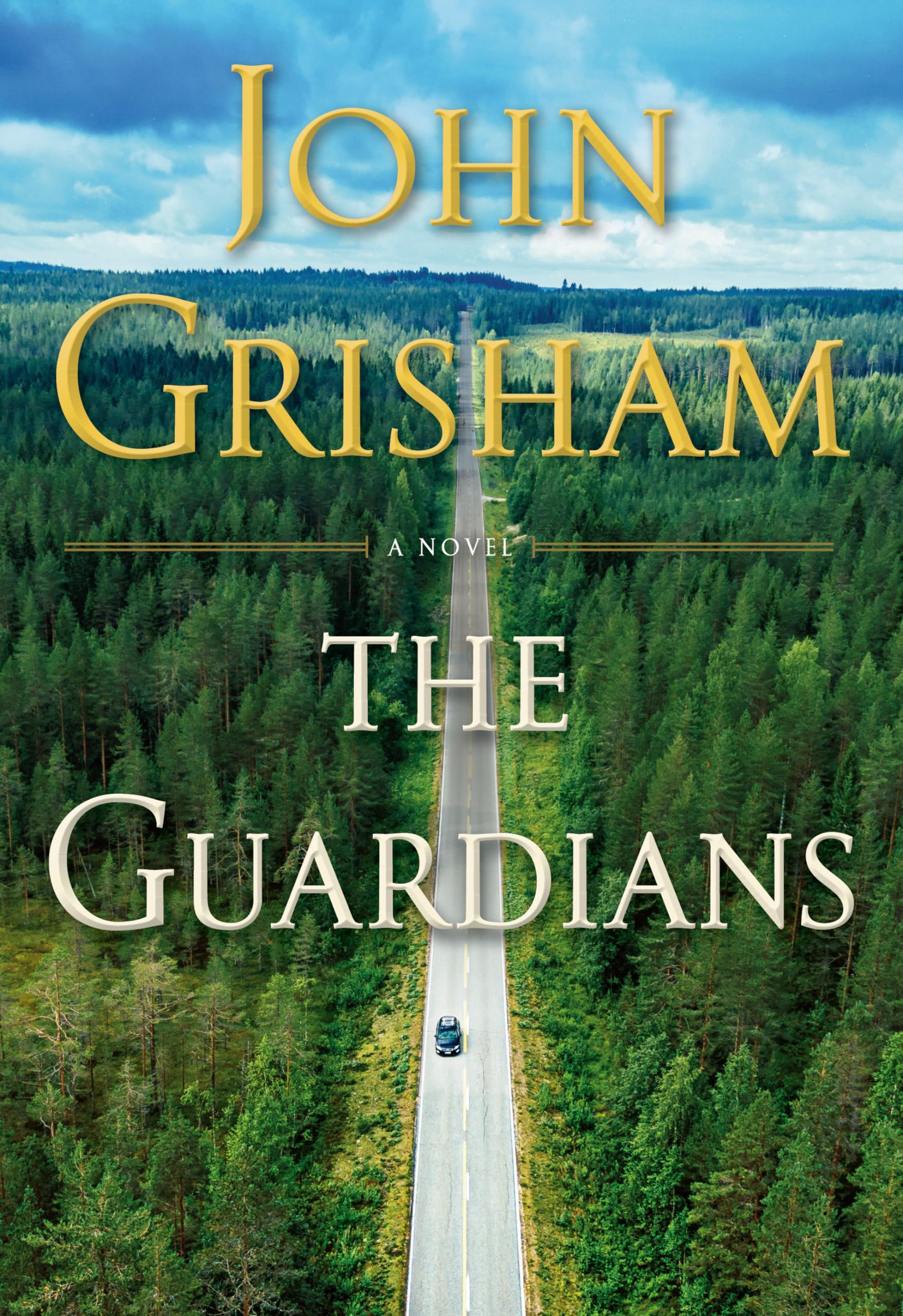 The Guardians: A Novel,New