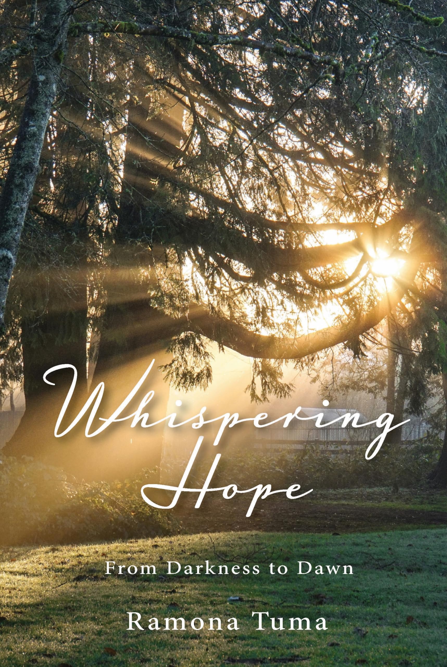 Whispering Hope: From Darkness To Dawn