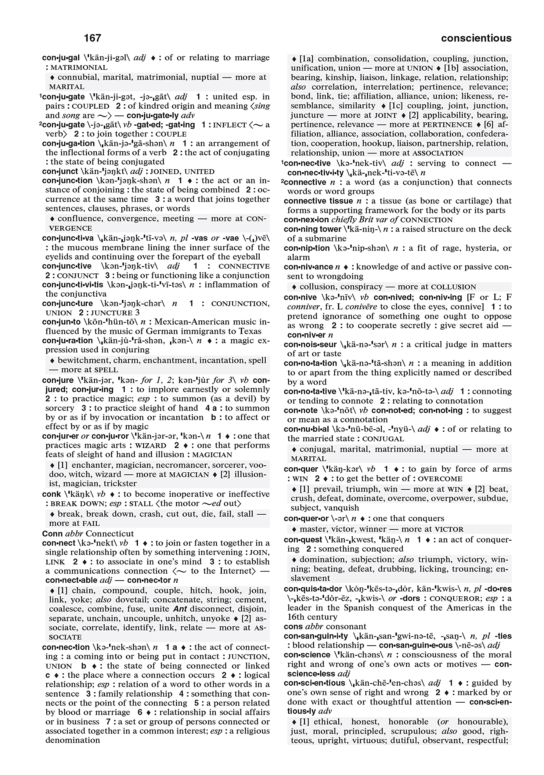 Merriam-Webster's Dictionary and Thesaurus, Trade Paperback, Newest Edition, White Cover