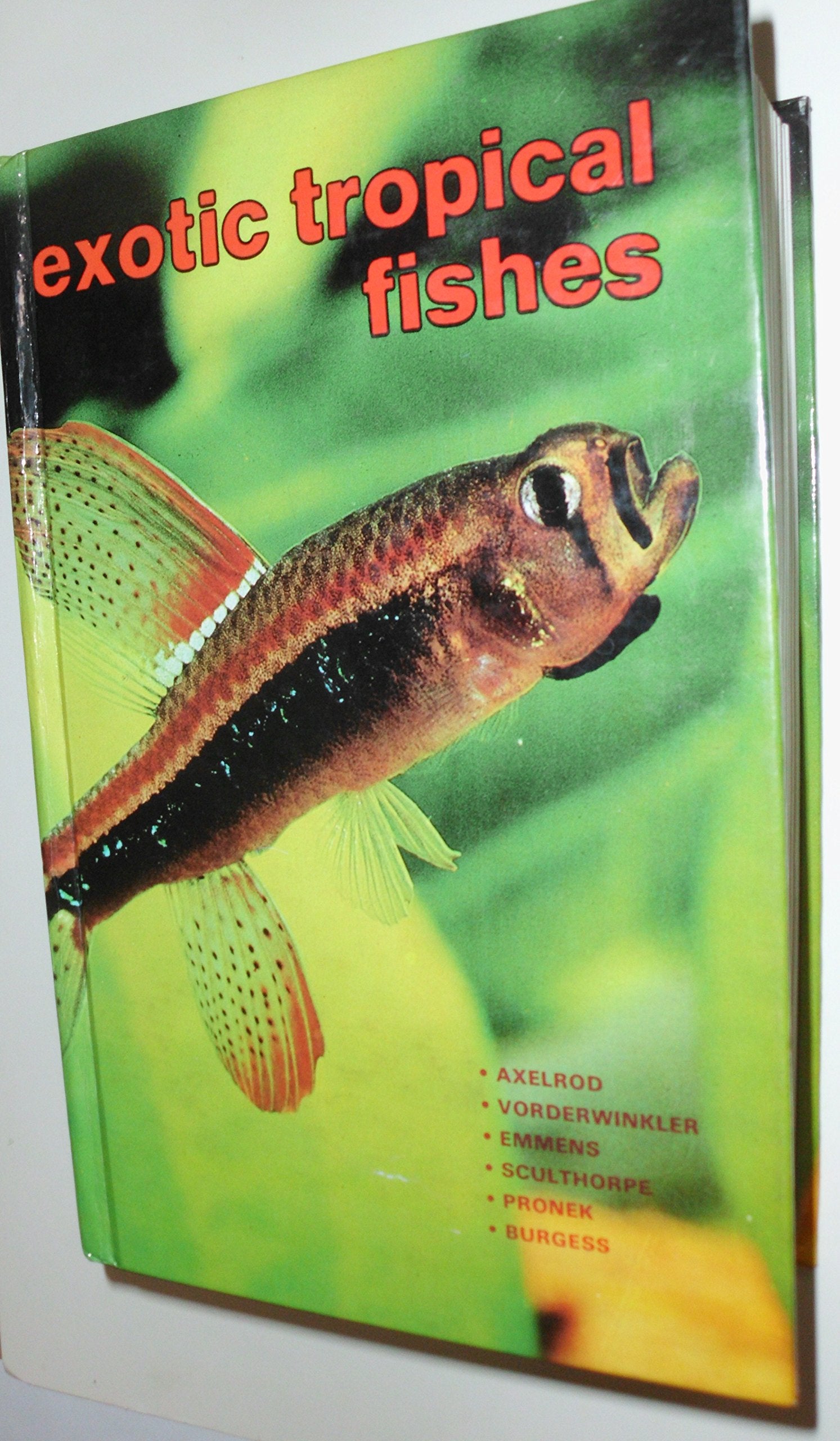 Exotic Tropical Fishes
