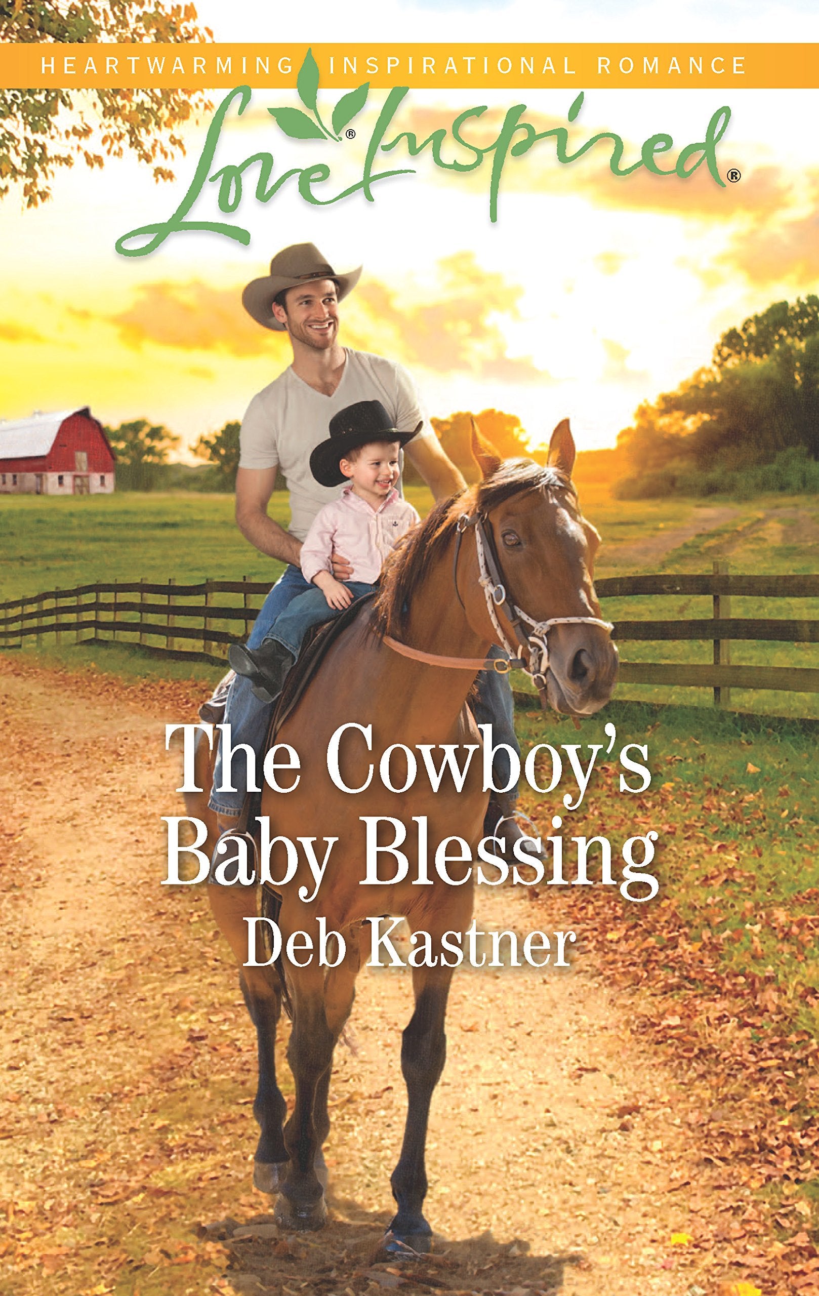 The Cowboy's Baby Blessing (Cowboy Country, 6),Used