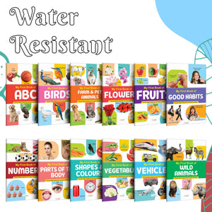 Ukg Class Picture Book With 12 Topics : Abc, Numbers, Fruits, Birds, Flowers, Farm & Pet Animals, Wild Animals, Parts Of The Body, Vegetables, Shapes & Colours, Vehicles And Good Habits