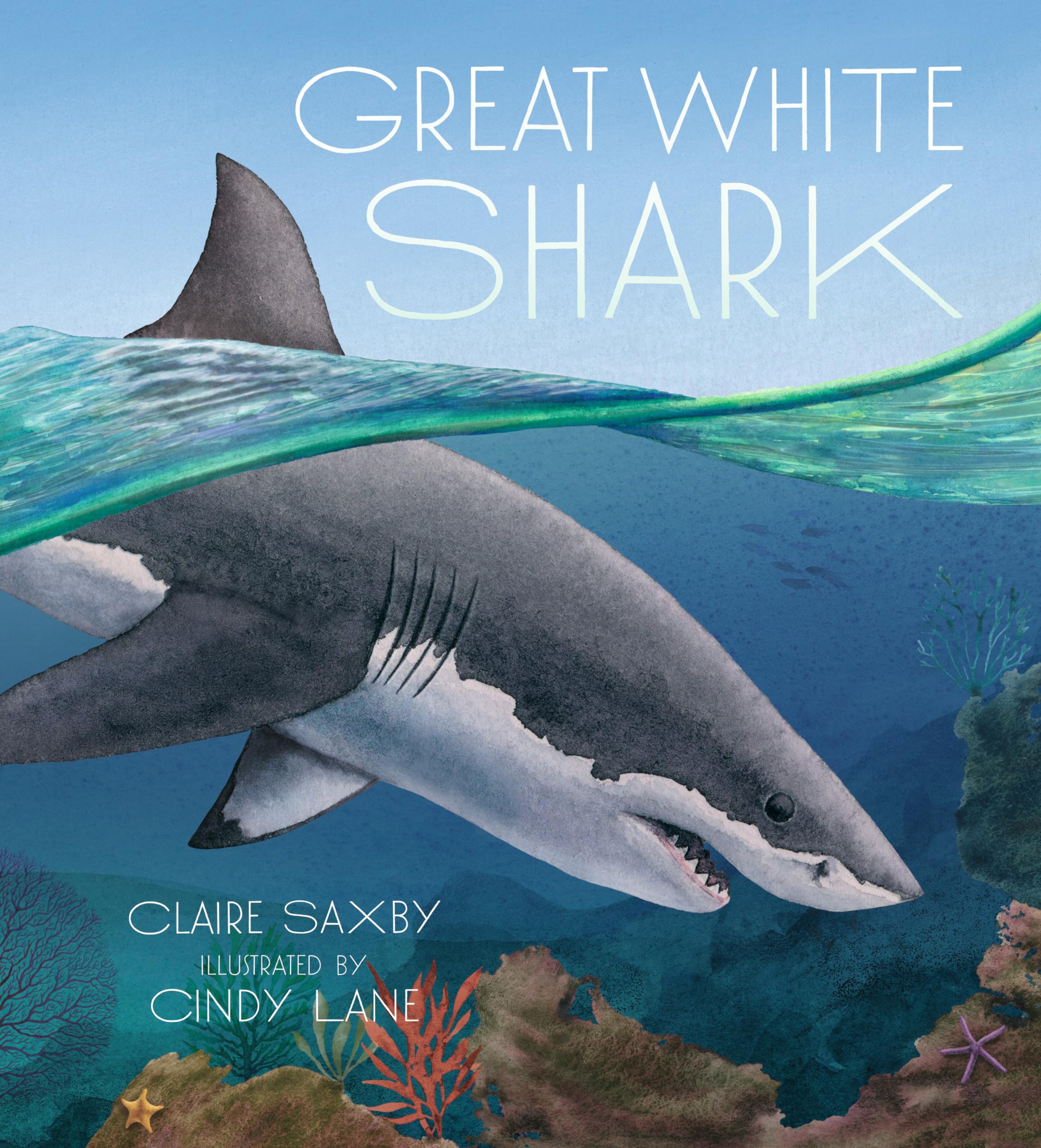 Great White Shark,New