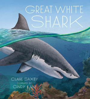 Great White Shark,New