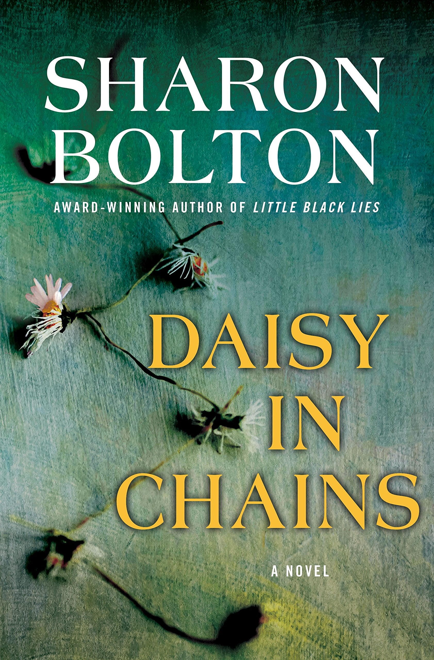 Daisy in Chains: A Novel,Used