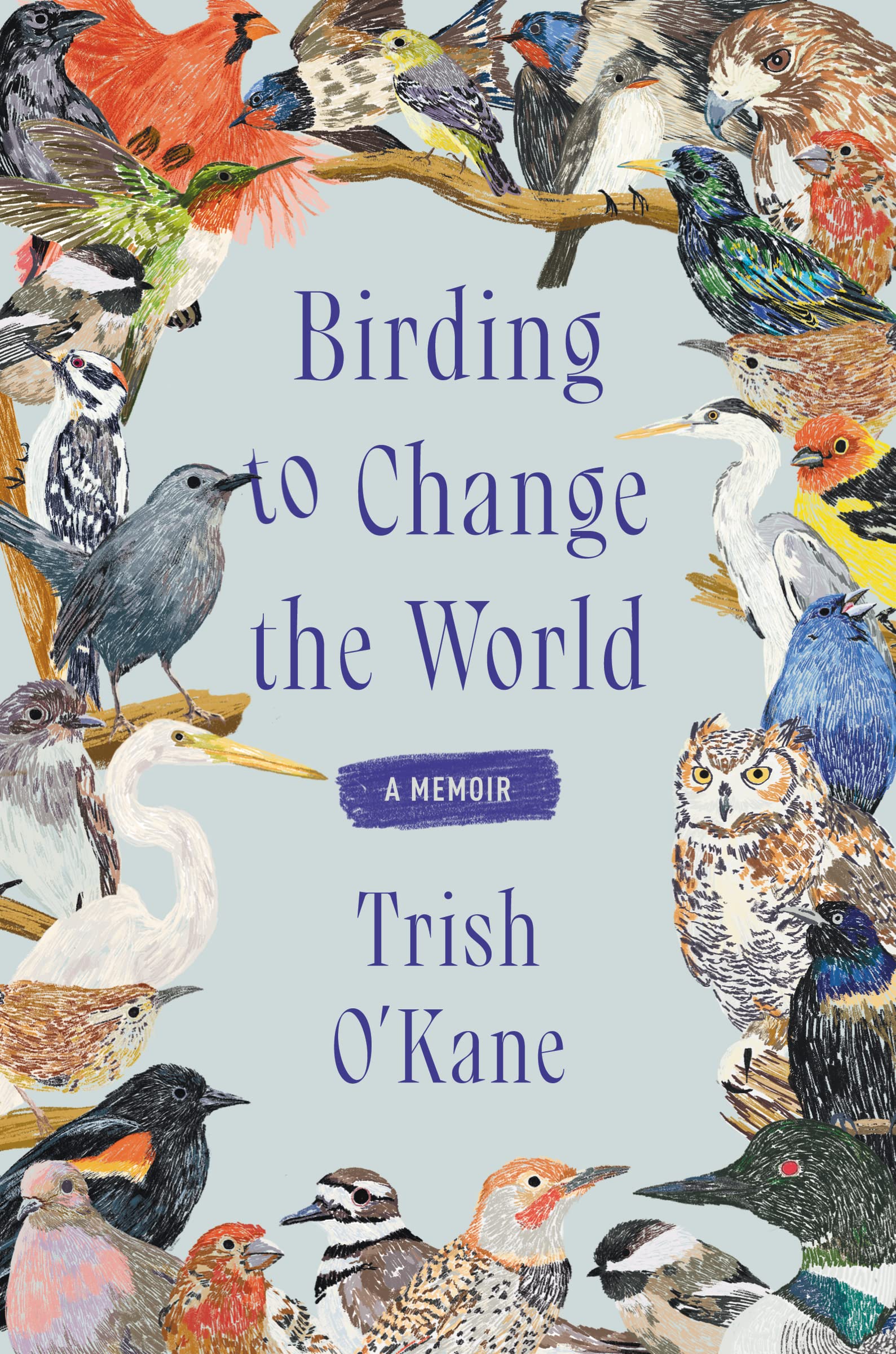 Birding To Change The World: A Memoir,Used