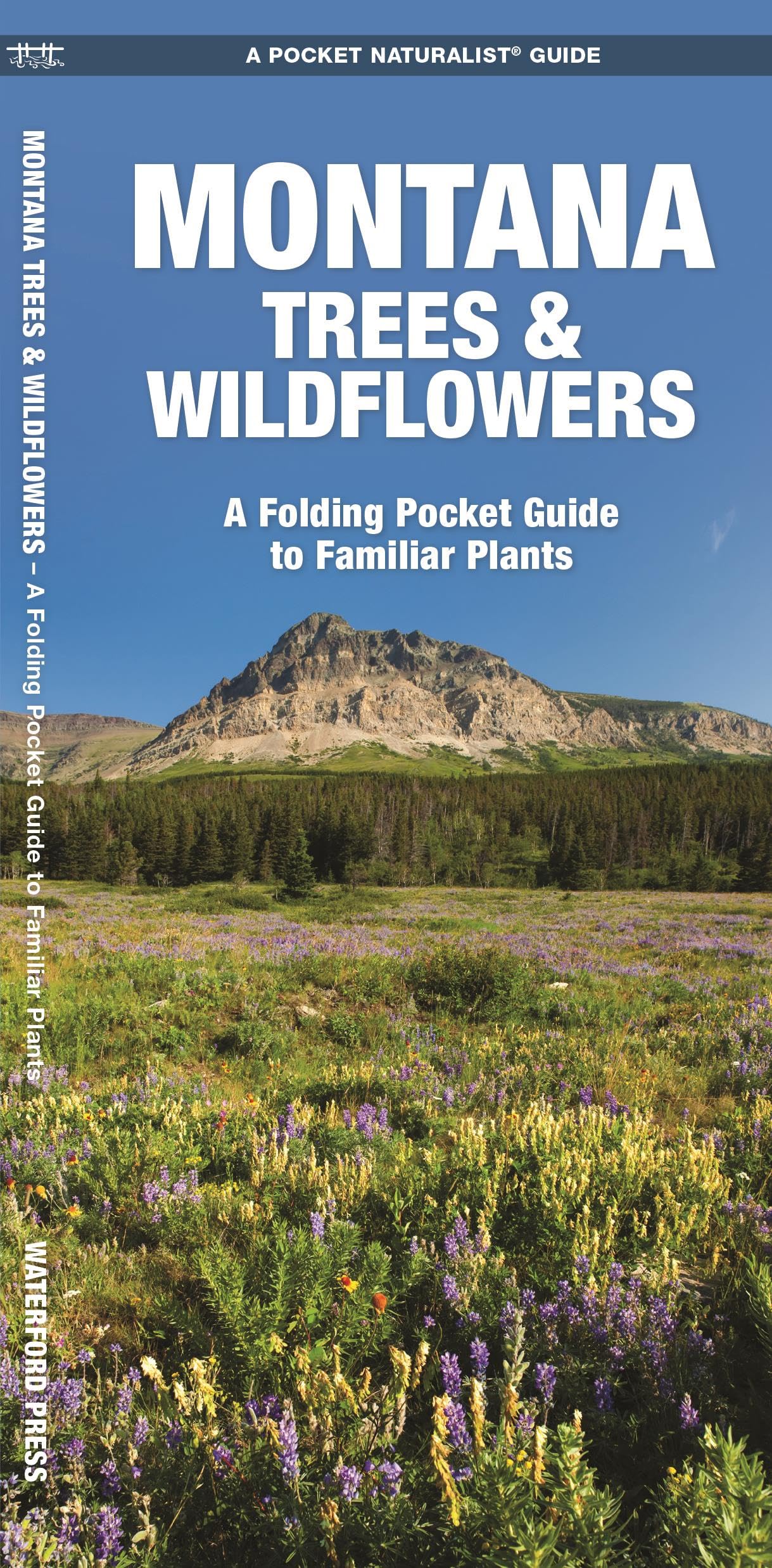Montana Trees & Wildflowers: A Folding Pocket Guide to Familiar Plants (Wildlife and Nature Identification),New