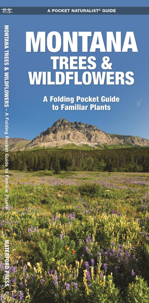 Montana Trees & Wildflowers: A Folding Pocket Guide to Familiar Plants (Wildlife and Nature Identification),New