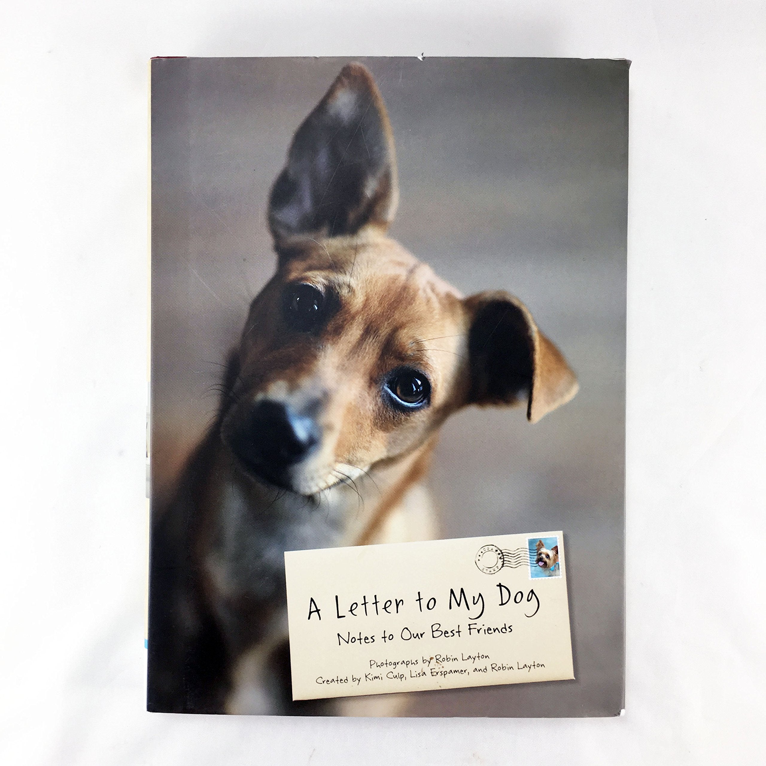 A Letter To My Dog: Notes To Our Best Friends