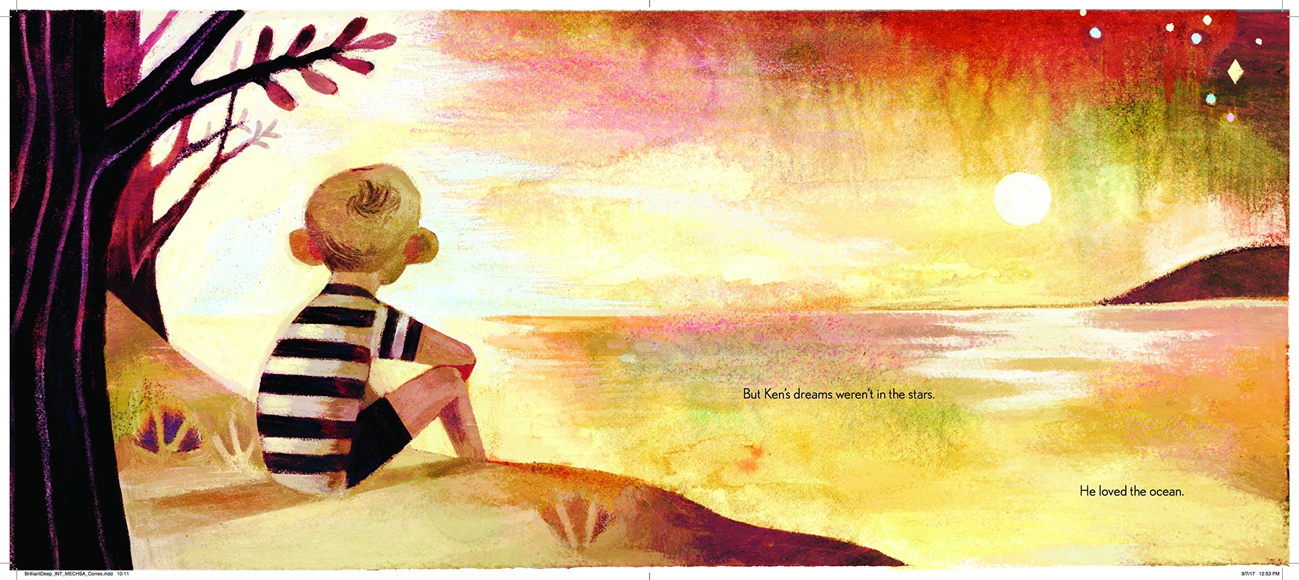 The Brilliant Deep: Rebuilding the World's Coral Reefs: The Story of Ken Nedimyer and the Coral Restoration Foundation (Environm,Used