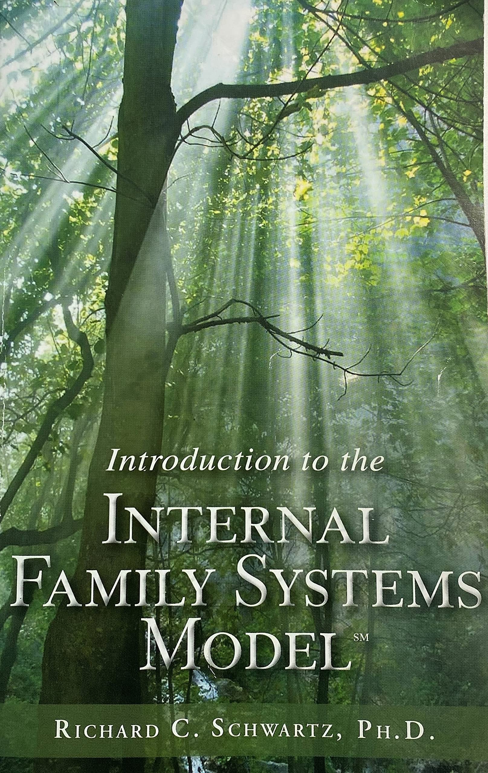 Trailheads Publications Introduction to the Internal Family Systems Model - Comprehensive Guide on IFS Techniques and Applications