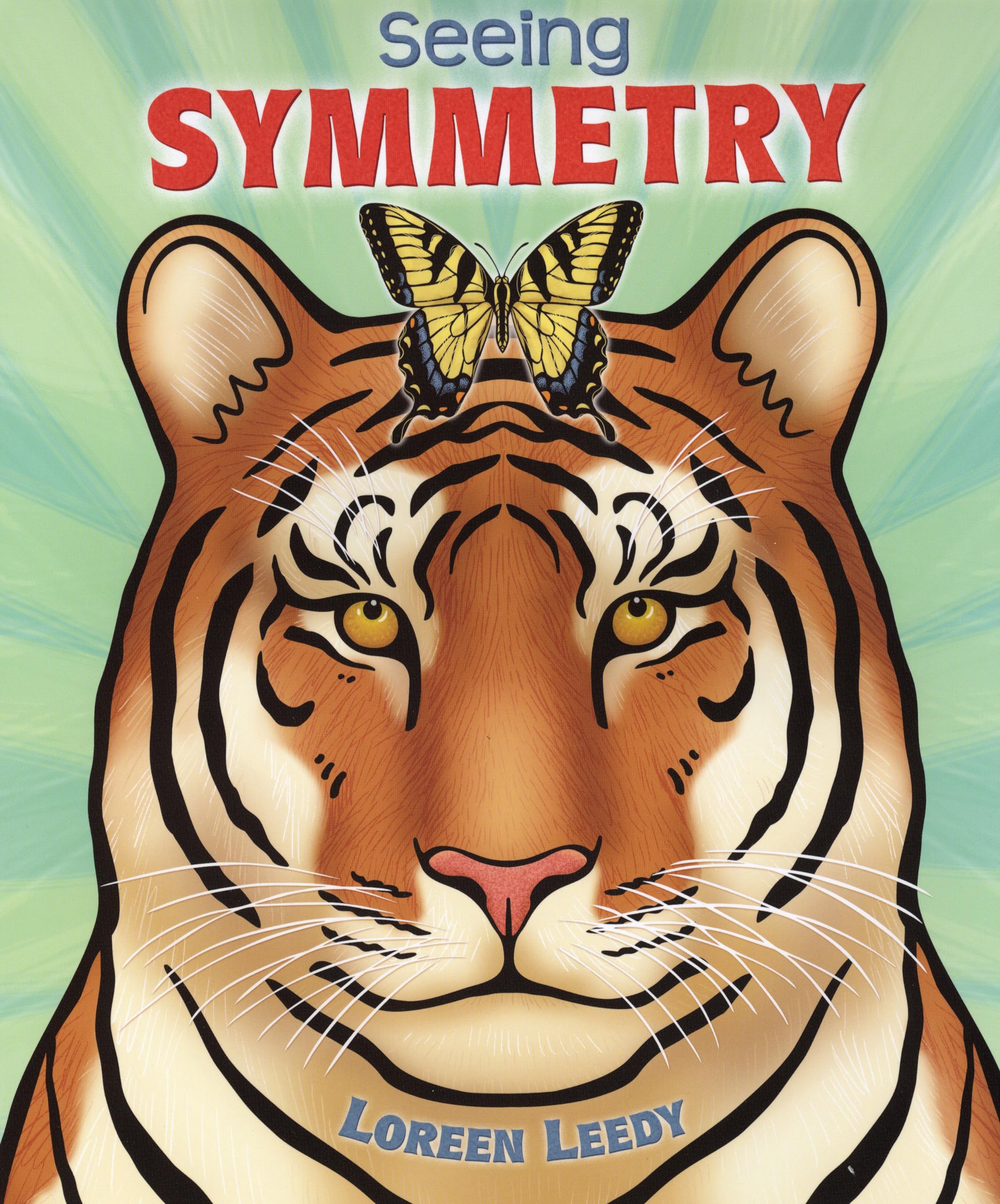 Seeing Symmetry,Used
