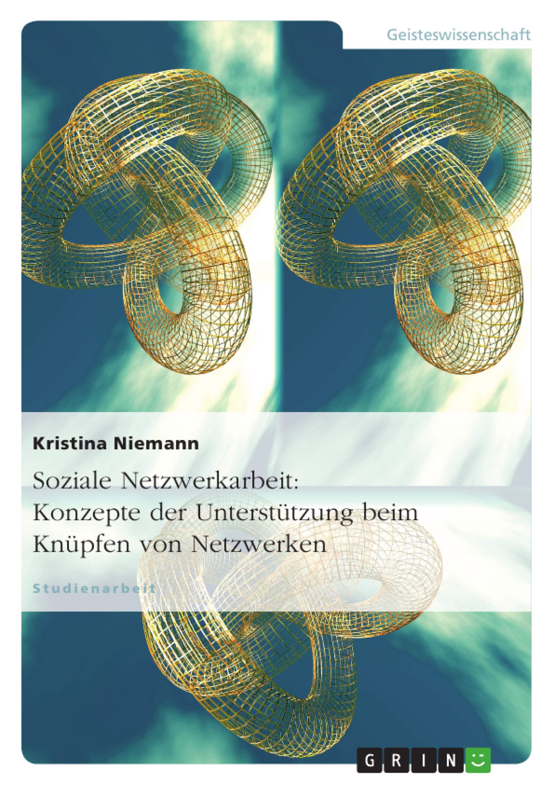 Soziale Netzwerkarbeit: Konzepte der Untersttzung beim Knpfen von Netzwerken (German Edition),Used