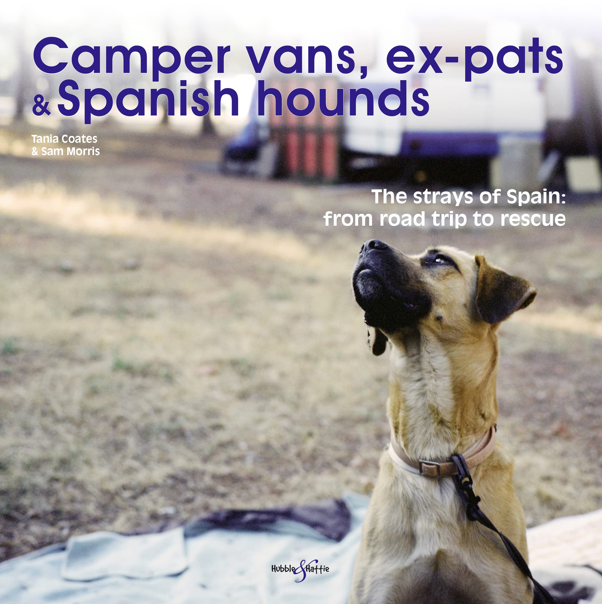 Camper Vans, Expats And Spanish Hounds: The Strays Of Spain: From Road Trip To Rescue