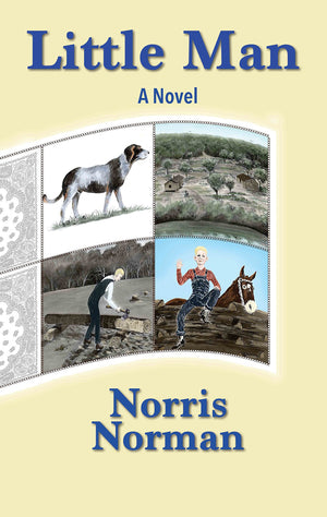 Little Man: A Novel,Used