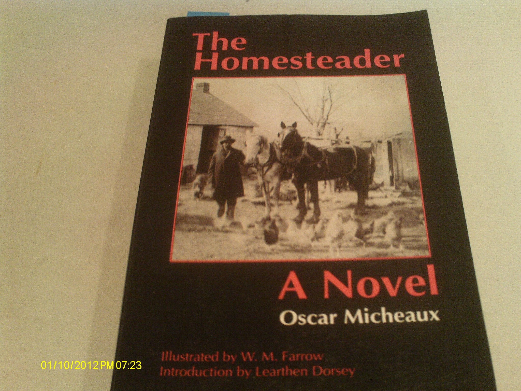 The Homesteader: A Novel