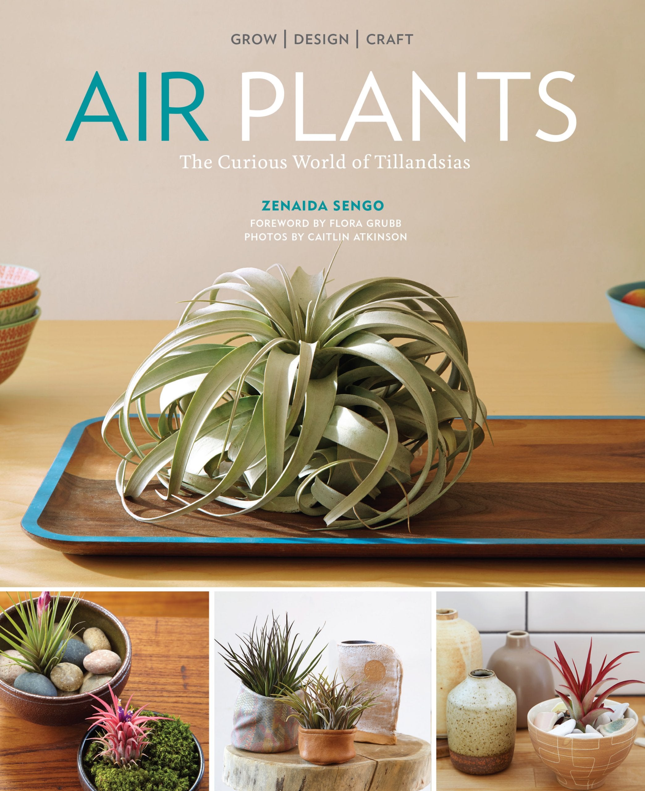 Air Plants: The Curious World Of Tillandsias