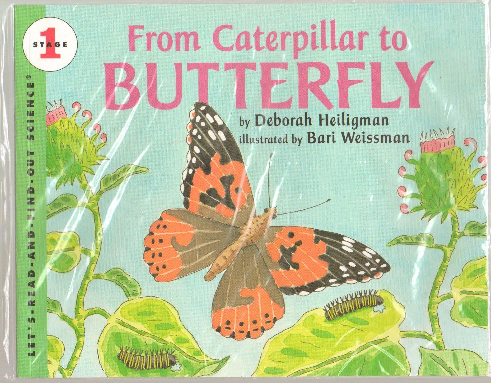 From Caterpillar To Butterfly (Let'Sreadandfindout Science, Stage 1),New