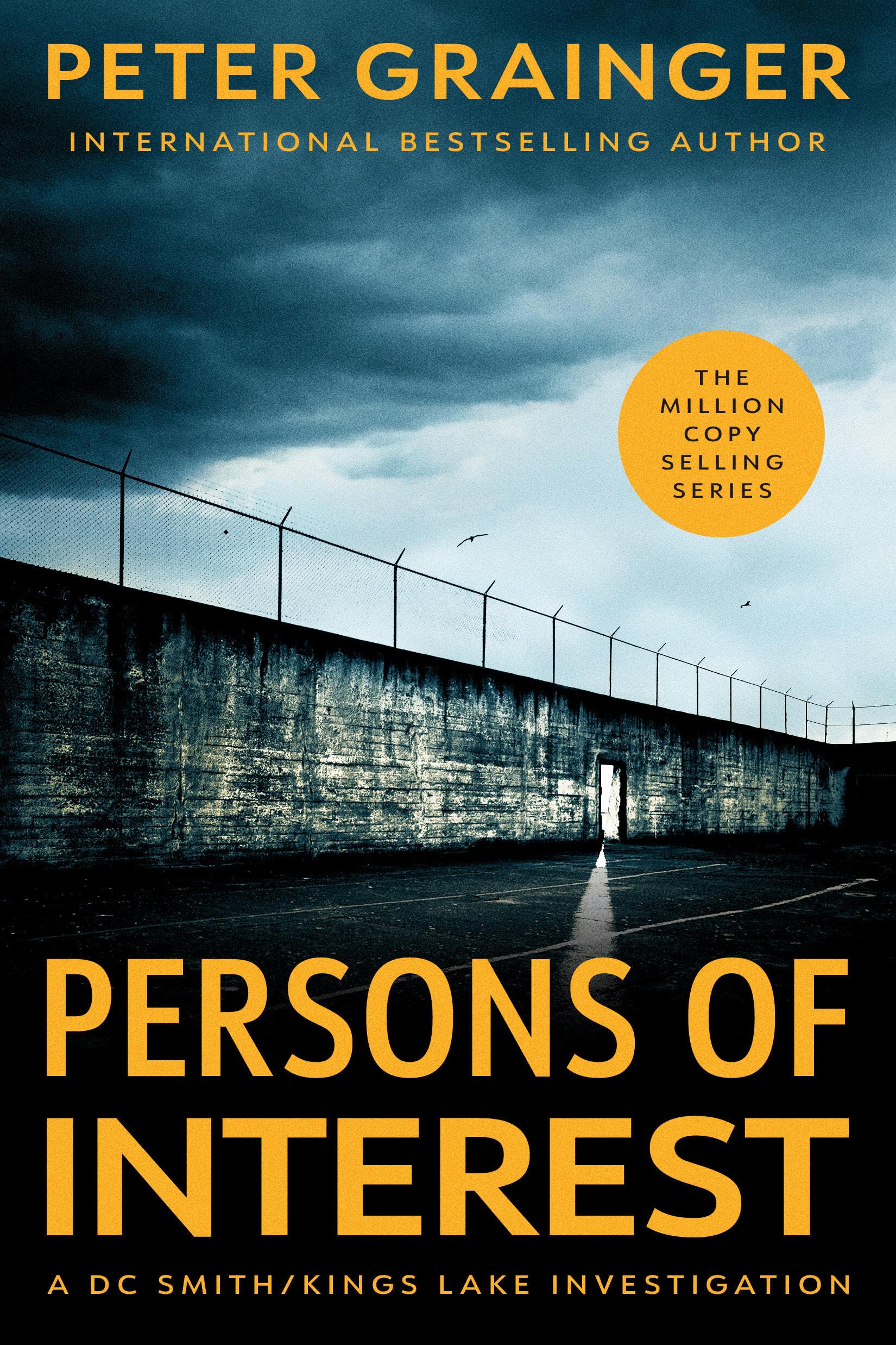 Persons Of Interest: A Novel (Volume 4) (A Dc Smith/Kings Lake Investigation, 4)
