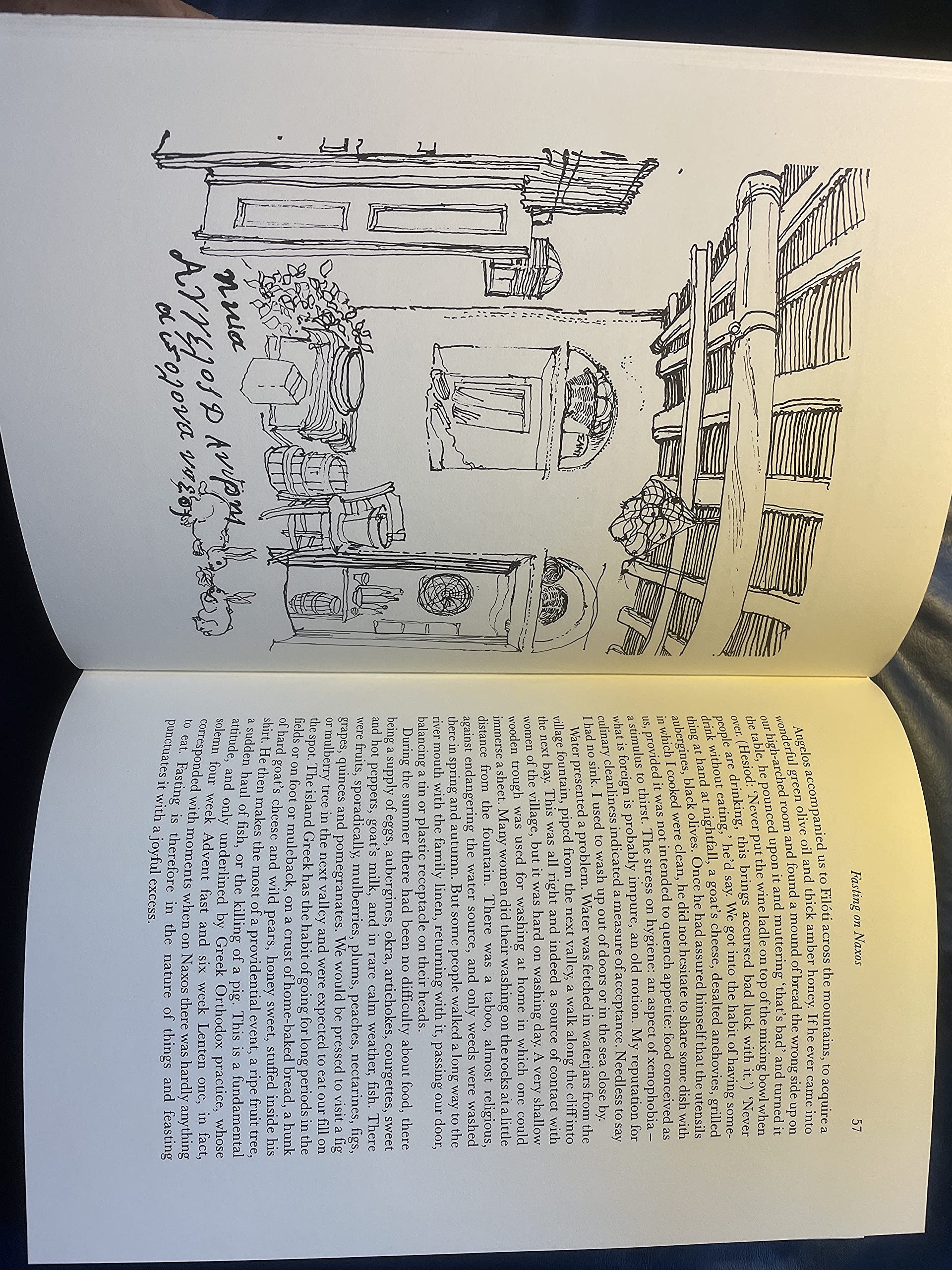 Honey From A Weed: Fasting And Feasting In Tuscany, Catalonia, The Cyclades And Apulia,Used
