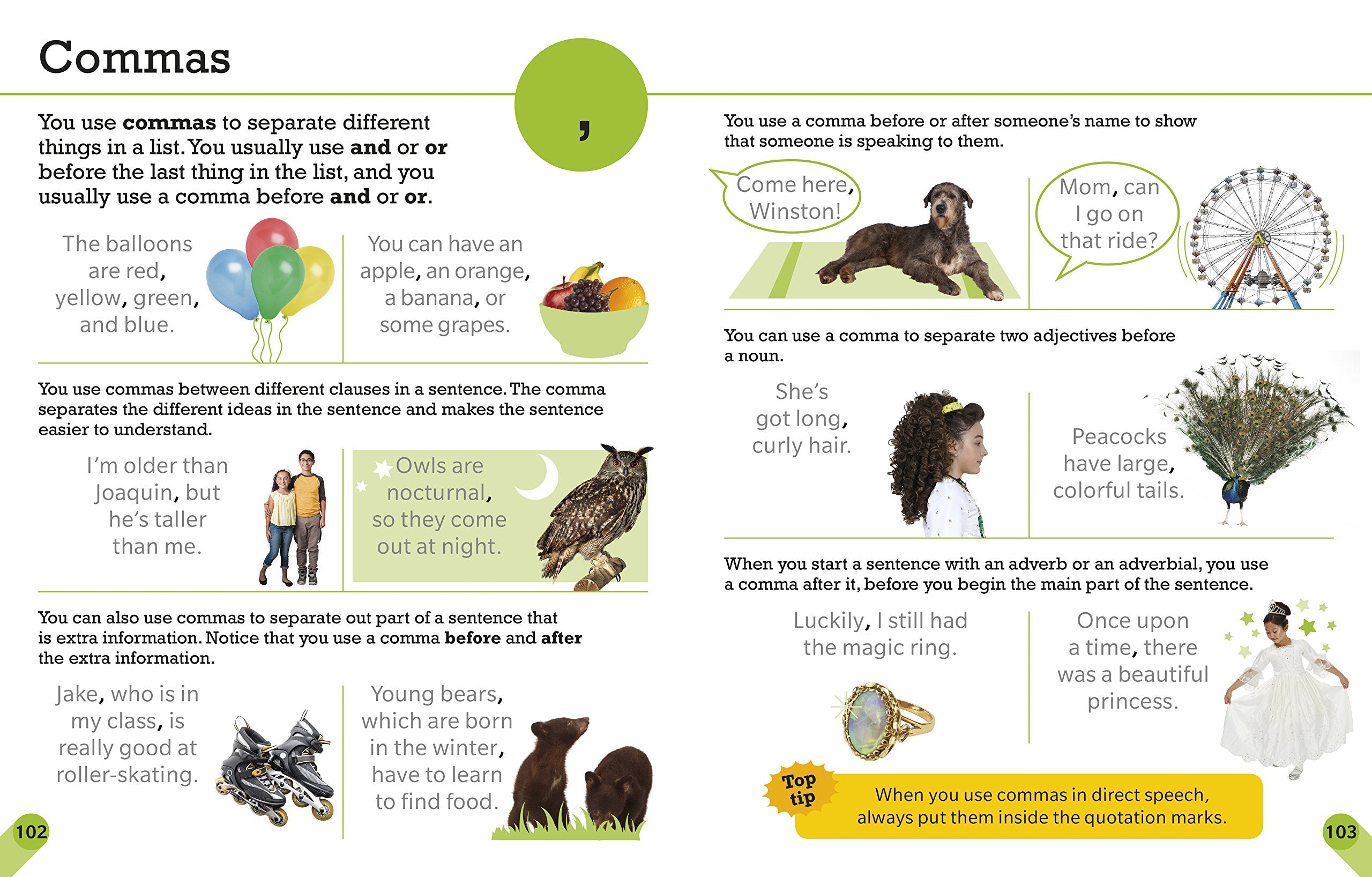 Visual Guide to Grammar and Punctuation,Used