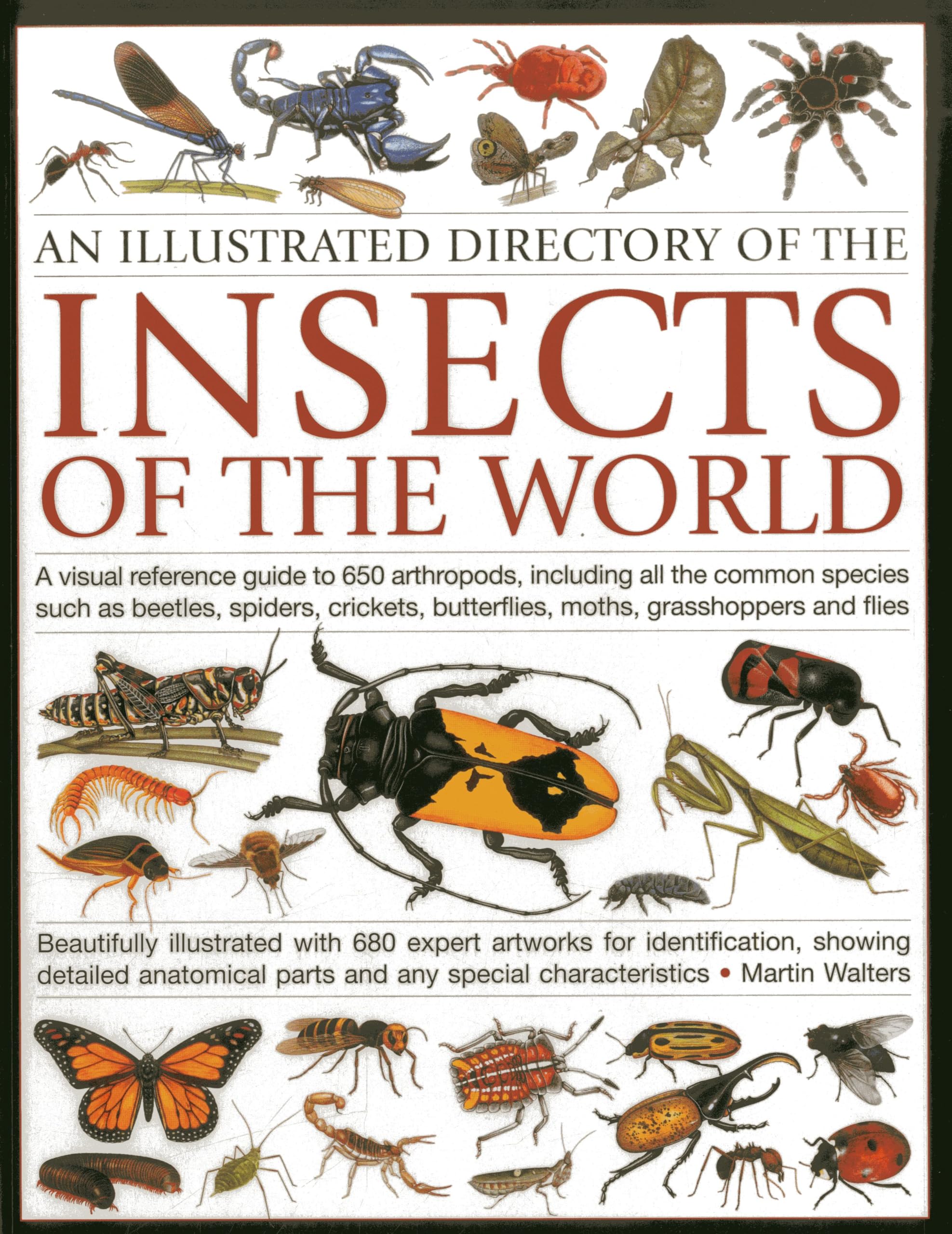 An Illustrated Directory of the Insects of the World: A visual reference guide to 650 arthropods, including all the common insec,Used