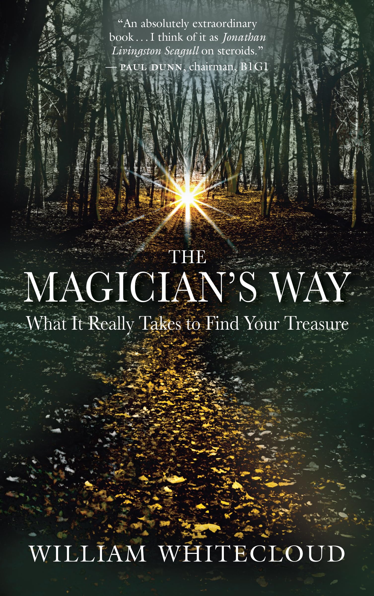 The Magician's Way: What It Really Takes to Find Your Treasure,New