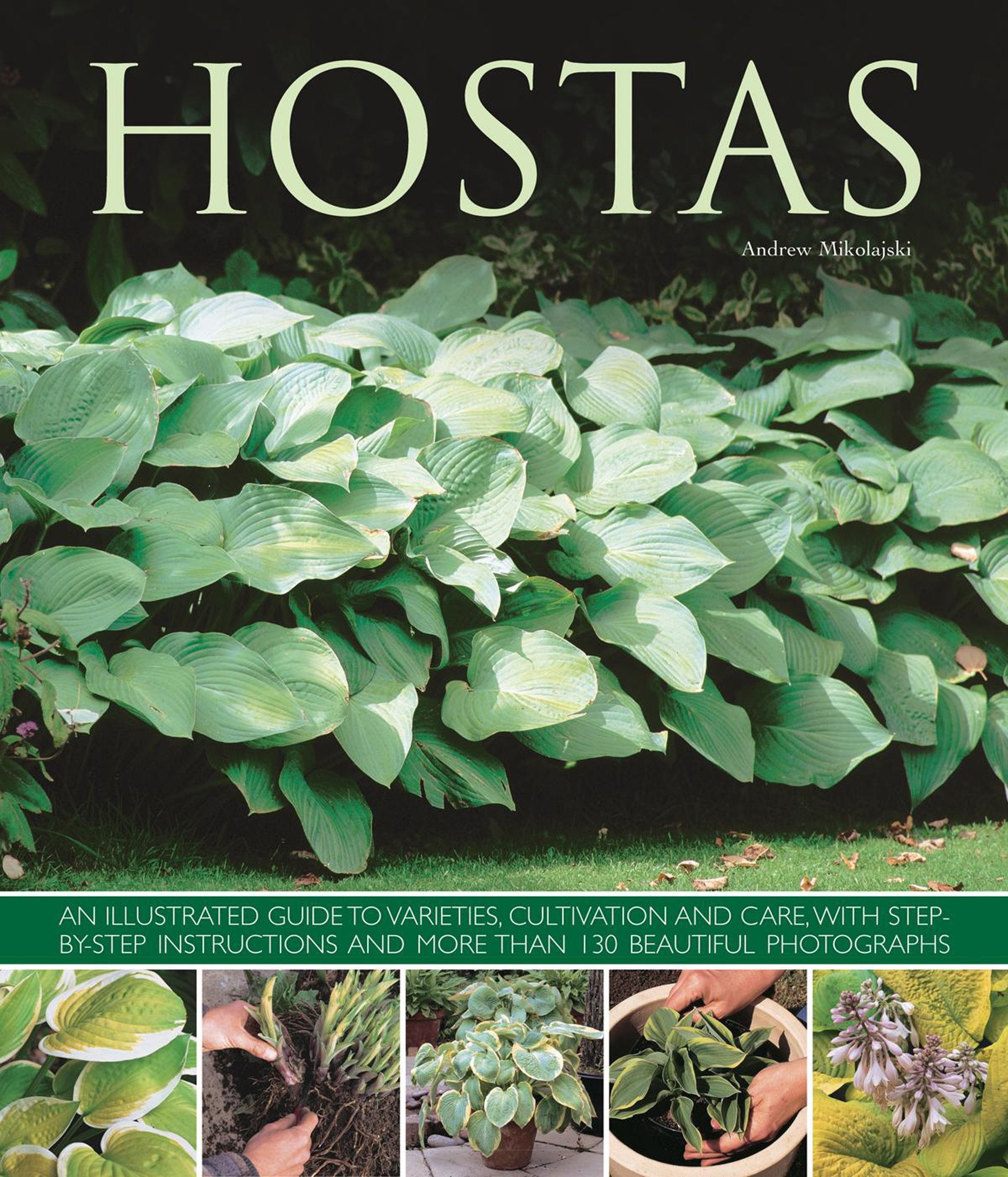 Hostas: An illustrated guide to varieties, cultivation and care, with stepbystep instructions and more than 130 beautiful phot,Used