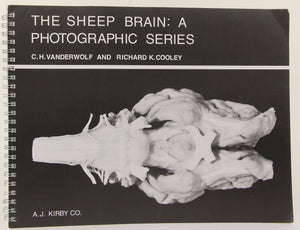 The Sheep Brain: A Photographic Series,New