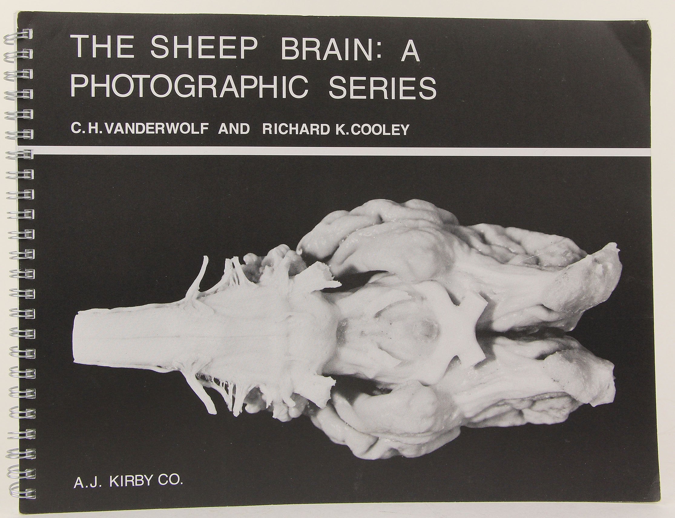 The Sheep Brain: A Photographic Series,Used