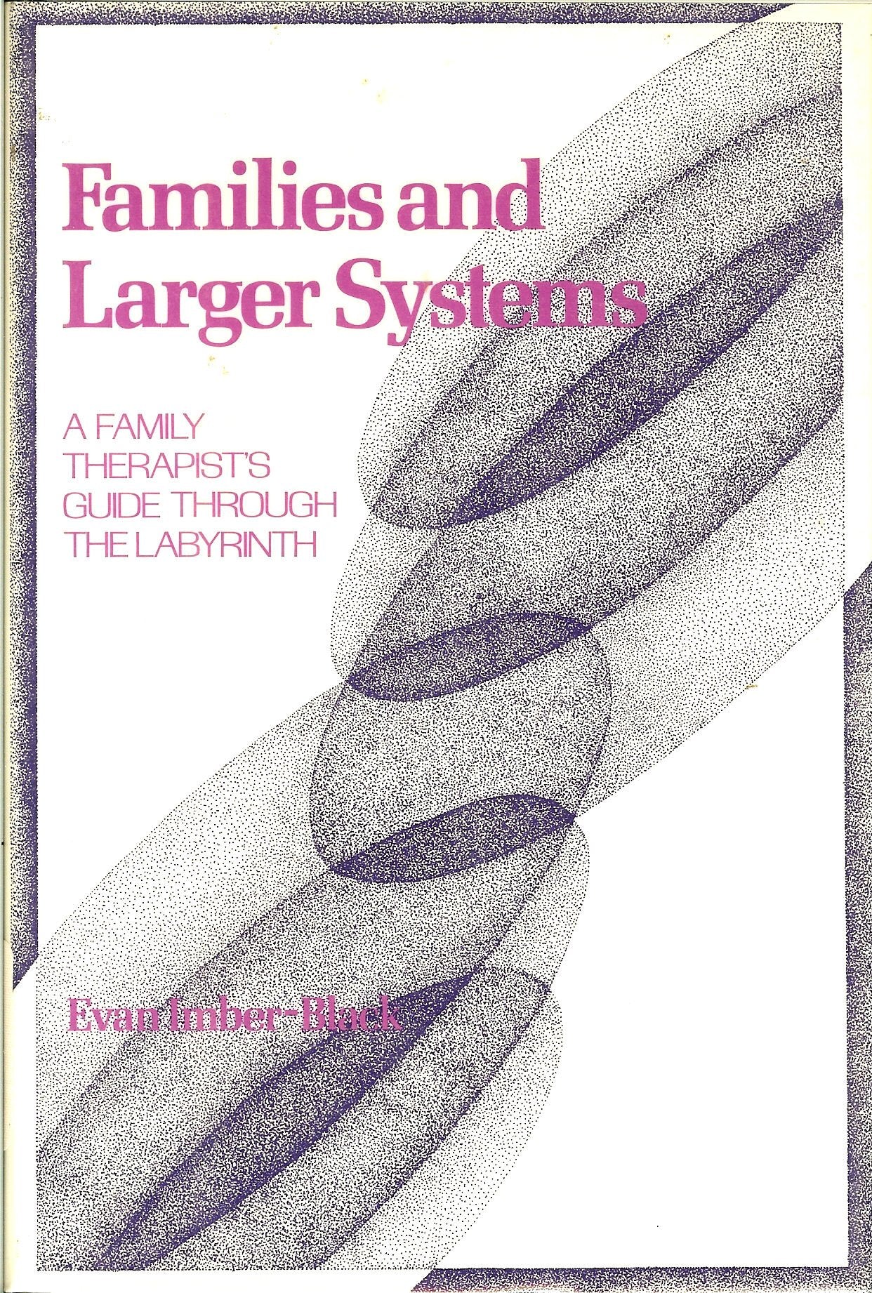 Families and Larger Systems: A Family Therapist's Guide through the Labyrinth,Used