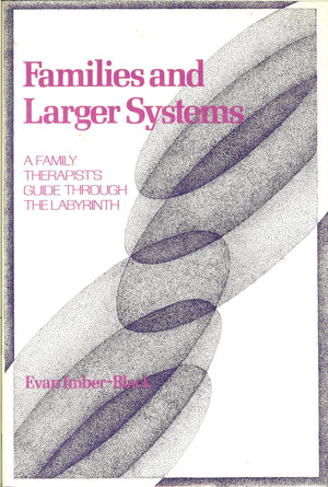 Families and Larger Systems: A Family Therapist's Guide through the Labyrinth,Used