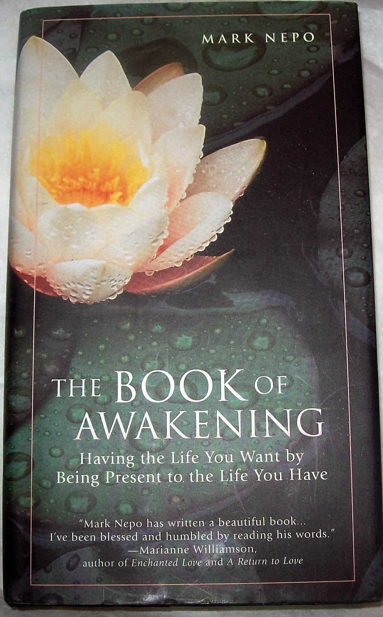 The Book of Awakening-Used