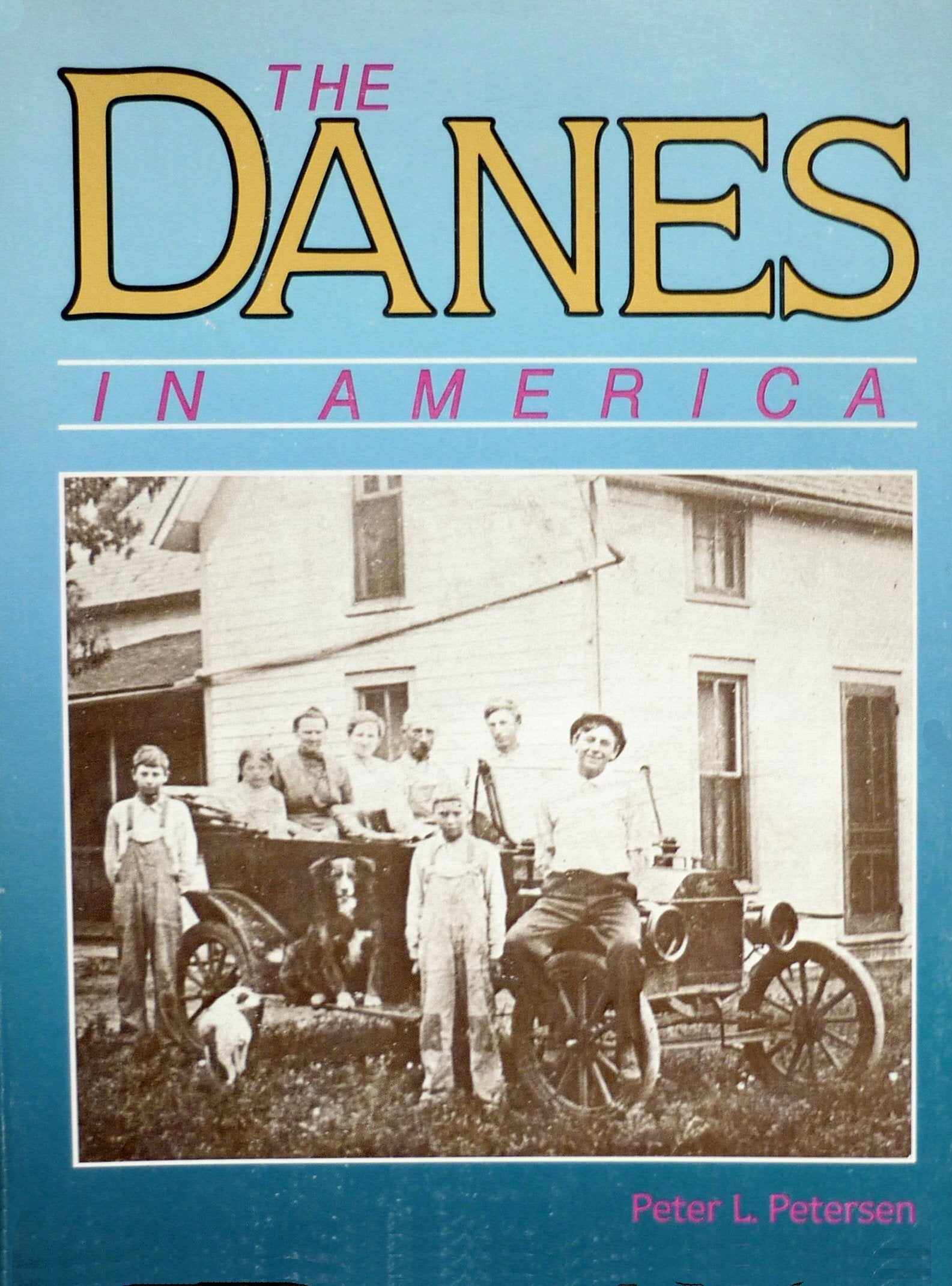 The Danes in America (In America Series),Used
