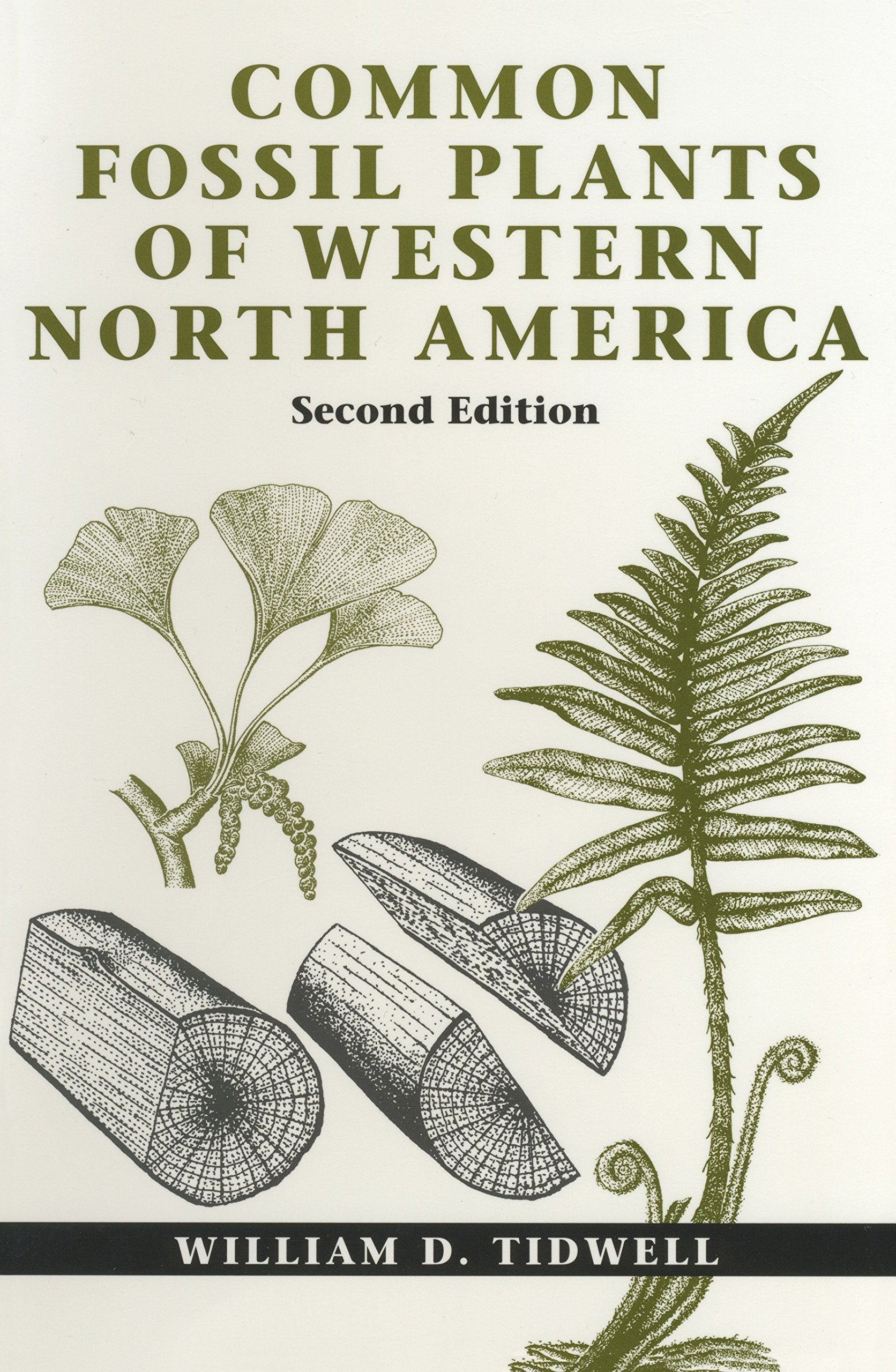 Common Fossil Plants of Western North America,Used