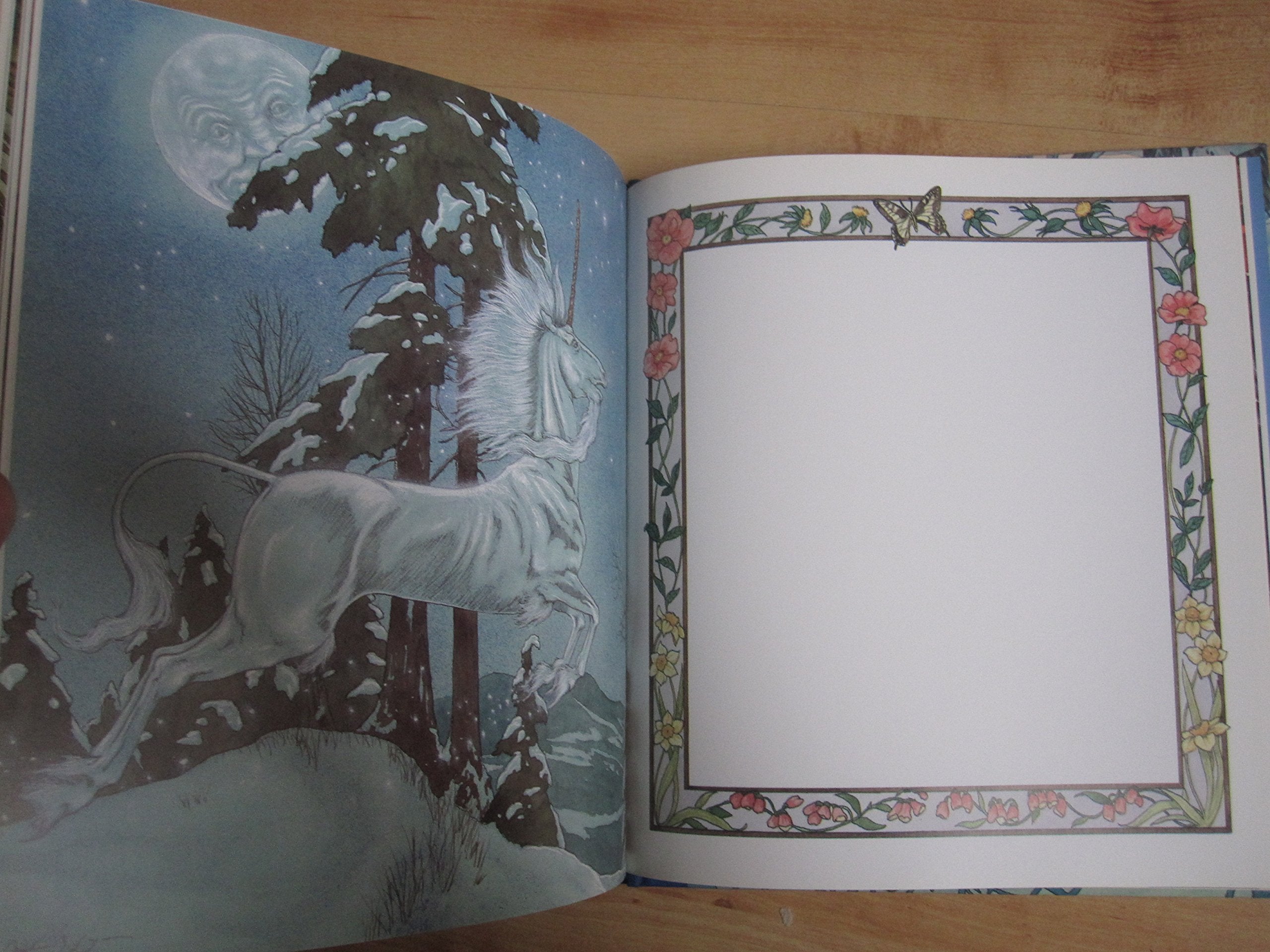 A Unicorn Journal,Used
